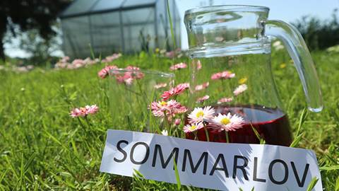 En blomsteräng, en kanna vatten och en lapp med ordet sommar