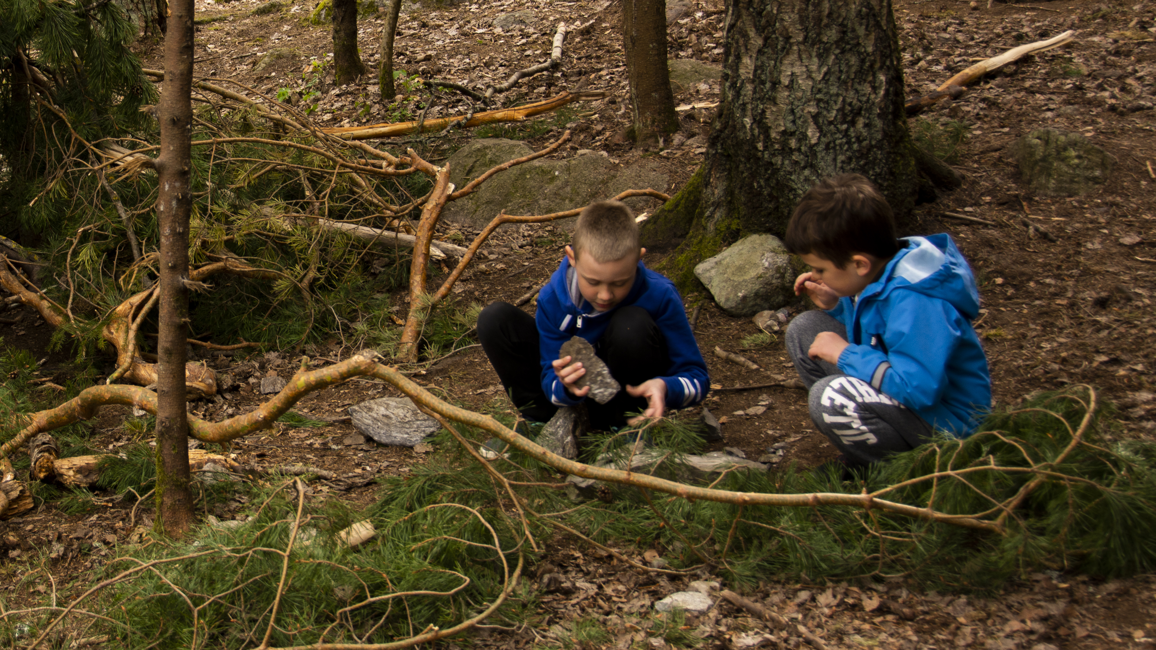 Pojkar som leker i skogen